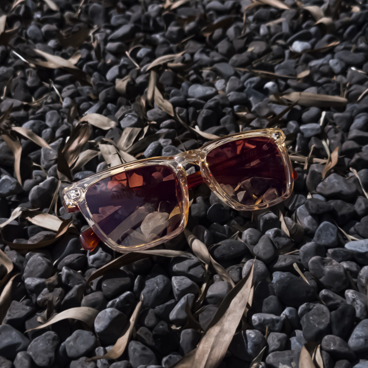 August Polarized Acetate Sunglasses